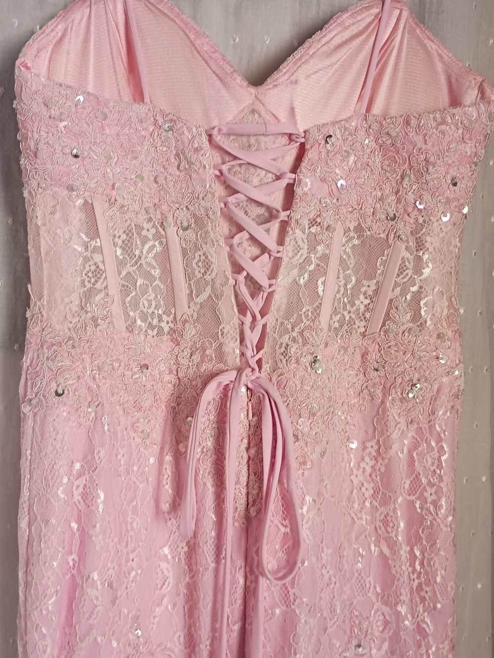 Hebeos Elegant Pink Lace Evening Dress with Corset Bodice -Pictures For Size (6)